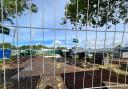 The skate park has been used as Wireless festival's toilet block