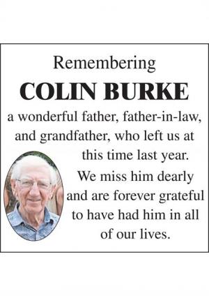 COLIN BURKE