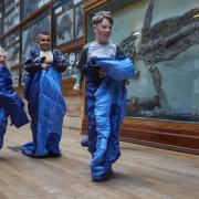 Dinosnores sleepovers can now be booked for both adults and children at the Natural History Museum