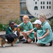 The Cavendish School Camden encourages pupils to develop as individuals (Image: The Cavendish School Camden)