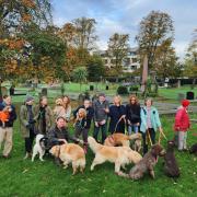 Dog owners in Paddington Old Cemetery say stringent rules for dogs will harm the surroundings