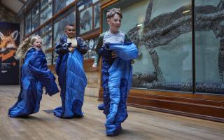 Dinosnores sleepovers can now be booked for both adults and children at the Natural History Museum