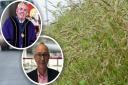 Great Yarmouth councillors have criticised overgrown verges and play parks in the borough. Inset:  Councillors Carl Annison (L) and Trevor Wainwright (R)