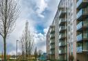 A view of the new community space in Woodberry Down