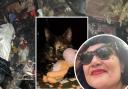 Jolly Kanjalal says that her cat Suki saved her life before her pet died and her home was destroyed in a fire