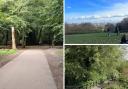 Highgate Wood, Hampstead Heath and Alexandra Road Park are among the Green Flag award winners this year