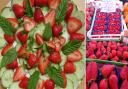 Strawberries are hugely versatile and can feature in salads, desserts and sorbets
