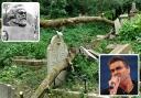 Ash dieback is causing trees at Highgate Cemetery to die