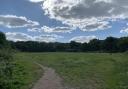 Crouch End Playing Field - the centre of the dispute