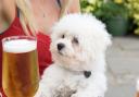 Testers from online pet care site said The Lord Palmerston in Dartmouth Park Hill was the most pet friendly in London