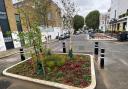 Dumpton Place in Primrose Hill has been transformed with planting and a wider pavement