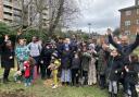 volunteers planting Think&Do project Communitrees at Abbey Estate (Image: Think&DoCamden)