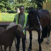 Equine therapist Lotte Carlebach with her ponies