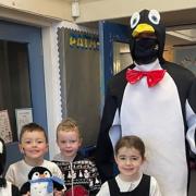 Marie Curie Hampstead appeals to schools and nurseries to join a Penguin Parade fundraiser