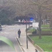 Three teenagers have been arrested after a 17-year-old boy was stabbed in Maitland Park Road who remains in a critical condition