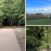 Highgate Wood, Hampstead Heath and Alexandra Road Park are among the Green Flag award winners this year