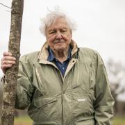 Sir David Attenborough is considered one of the world’s most influential voices on environmental issues