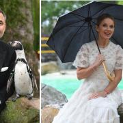 David Walliams and Geri Horner among VIPs at London Zoo fundraising gala