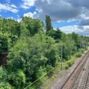 Network Rail plans to cut back four miles of vegetation near tracks - here taken on Oxford Bridge near Finsbury Park