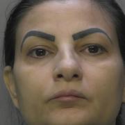 Monalisa Ion posed as a cleaner to steal from homes across London and Surrey