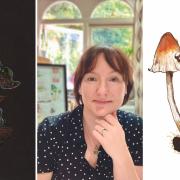 Jacqueline Freeman has a solo exhibition at The Playroom gallery in Archway featuring her works on mushrooms