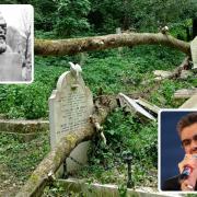 Ash dieback is causing trees at Highgate Cemetery to die