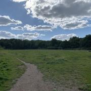 Crouch End Playing Field - the centre of the dispute