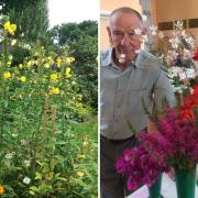 Alison Watson and Gary Sycamore were among those showing off their hard work at North London's horticultural shows this summer