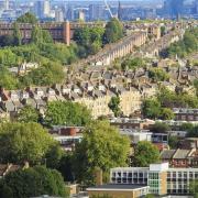 View from Ally Pally... council housing at Muswell Hill to get insulated