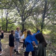 Heath Hands youth volunteers record plant species on Hampstead Heath (Image: Heath Hands)