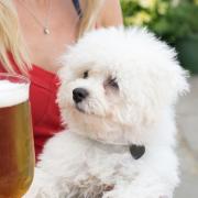 Testers from online pet care site said The Lord Palmerston in Dartmouth Park Hill was the most pet friendly in London