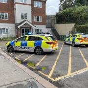 A person has died after being hit by a train near Bushey station between Watford & Euston