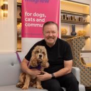 Comedian Ricky Gervais poses with Murphy the therapy dog at a World Animal Day event in aid of charity Mayhew.