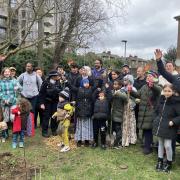 volunteers planting Think&Do project Communitrees at Abbey Estate (Image: Think&DoCamden)