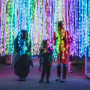 Christmas at Kew has been running since 2013 and is now a much anticipated fixture of London's festive calendar.