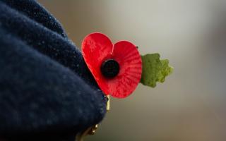 There is a host of Remembrance events in north London