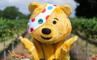 Pudsey turns up in Tottenham