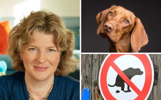 Channing School headmistress Lindsey Hughes discusses the meaning of dog poo, broken window theory, and our written and unwritten social contract