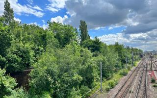 Network Rail plans to cut back four miles of vegetation near tracks - here taken on Oxford Bridge near Finsbury Park