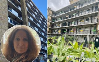 Debbie Bourne hopes that the Beeline Boxes that have brightened up  Three Field Estate in Camden will be rolled out to other estates (Image: Debbie Bourne)