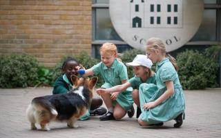 The Cavendish School Camden encourages pupils to develop as individuals (Image: The Cavendish School Camden)