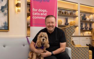 Comedian Ricky Gervais poses with Murphy the therapy dog at a World Animal Day event in aid of charity Mayhew.